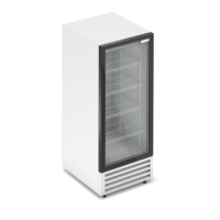 Холодильный шкаф RV300G PRO 