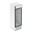 Холодильный шкаф RV400GL 